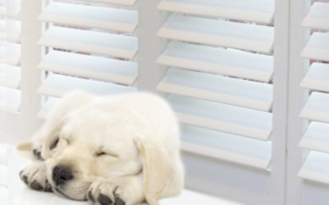 StyleShutters pup heet Oistin